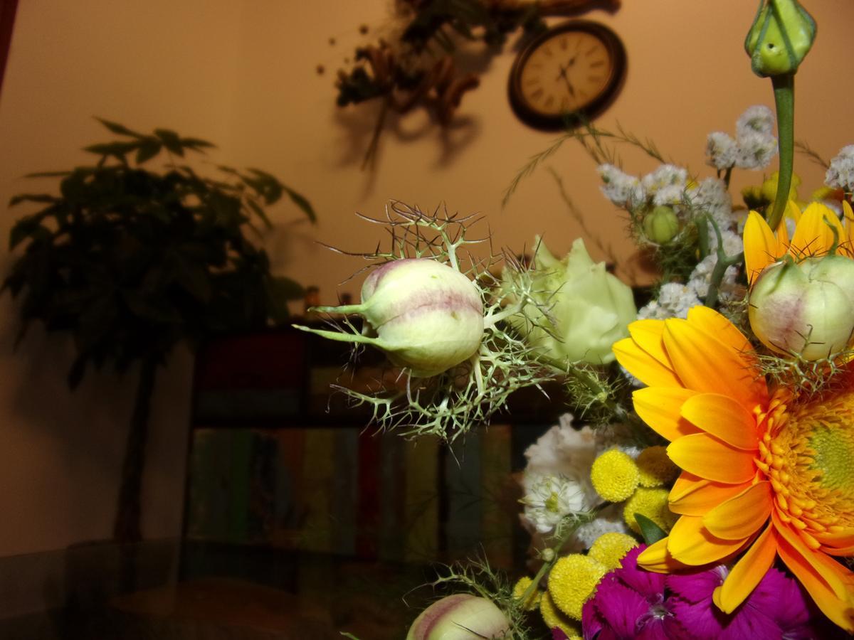 La Fontanella Bed & Breakfast Lecce Bagian luar foto